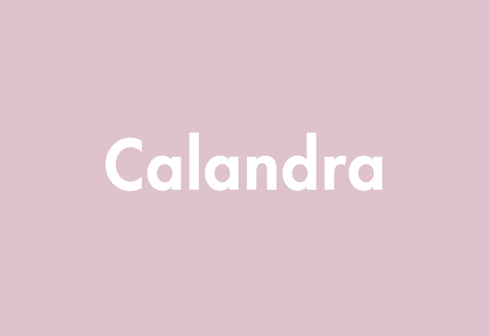 Calandra meaning