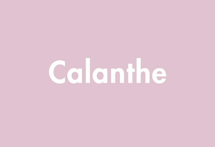 Calanthe meaning