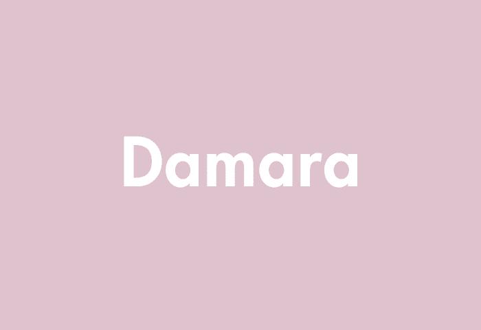 Damara meaning