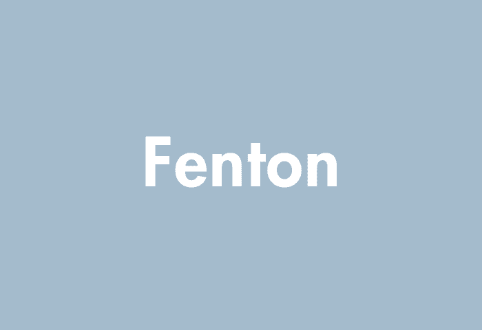 Fenton meaning