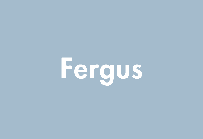 Fergus meaning