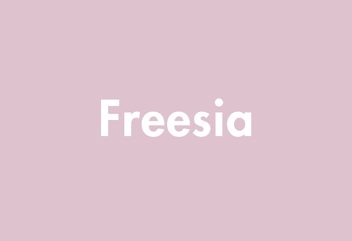 Freesia meaning