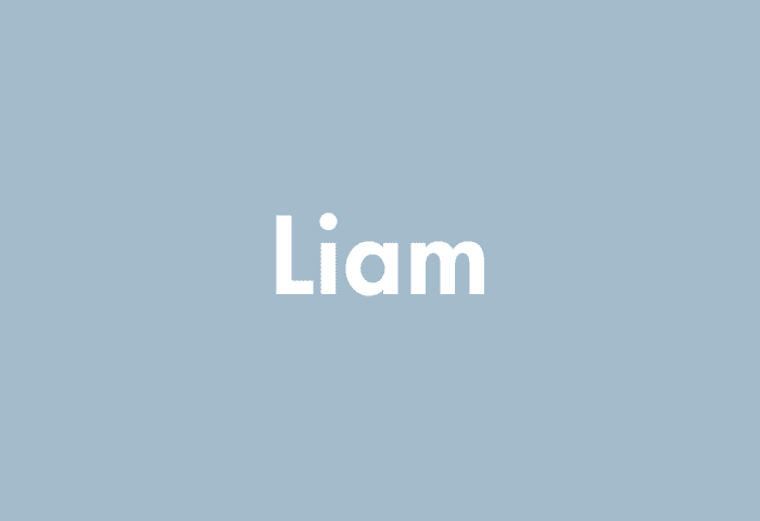 Liam meaning