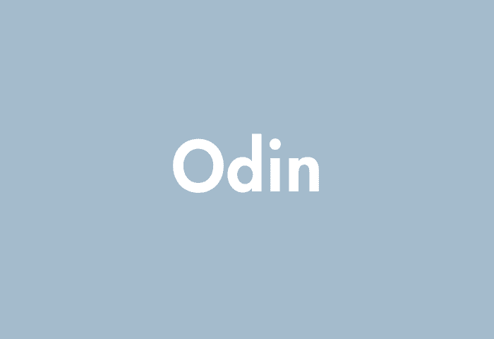 Odin meaning