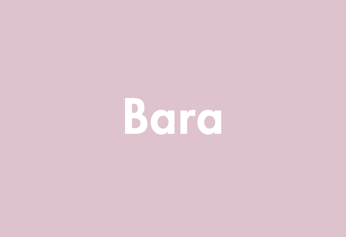 Bara meaning