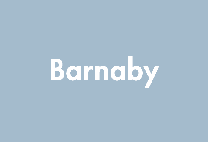 Barnaby meaning