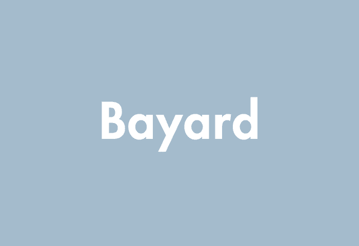 Bayard meaning