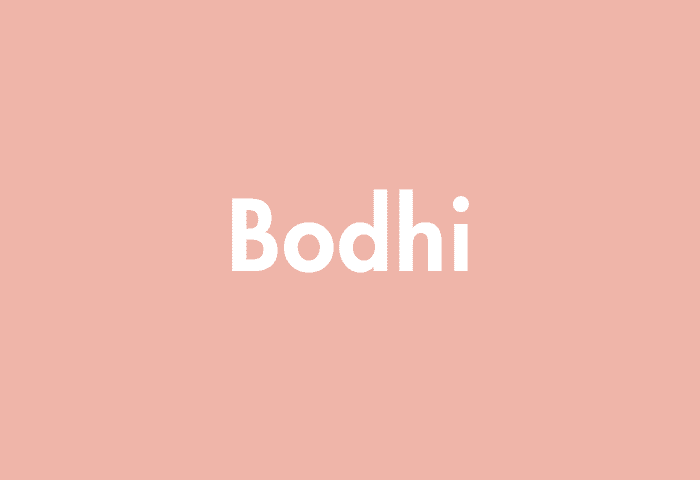 Bodhi meaning