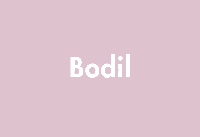 Bodil meaning