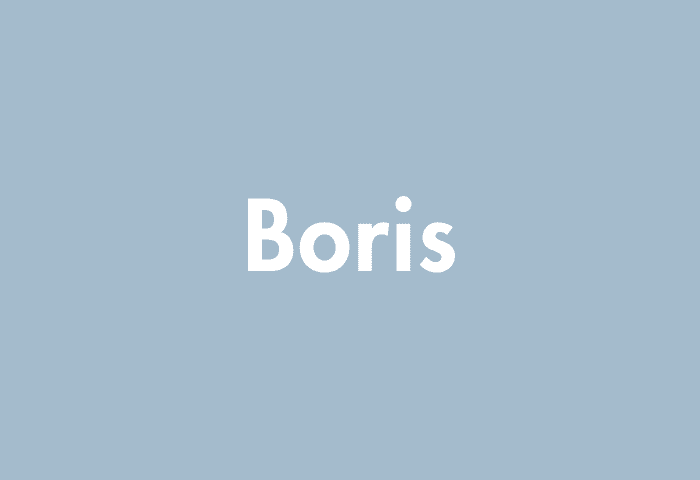Boris meaning