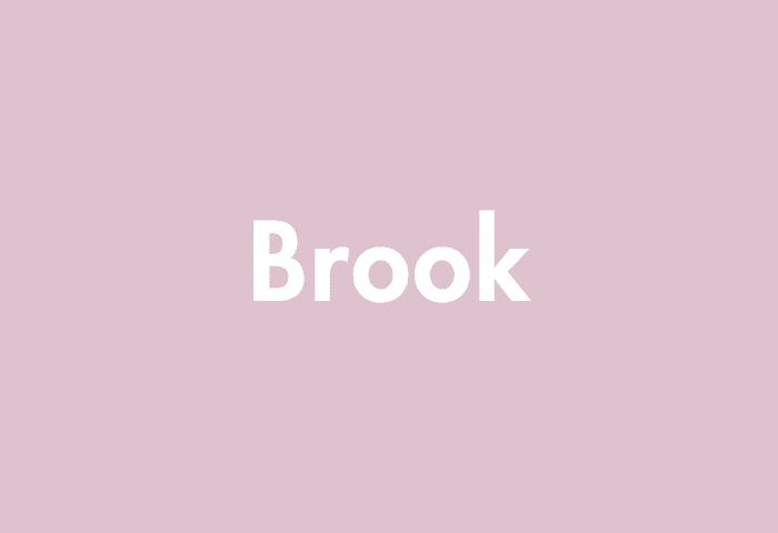 Brook meaning