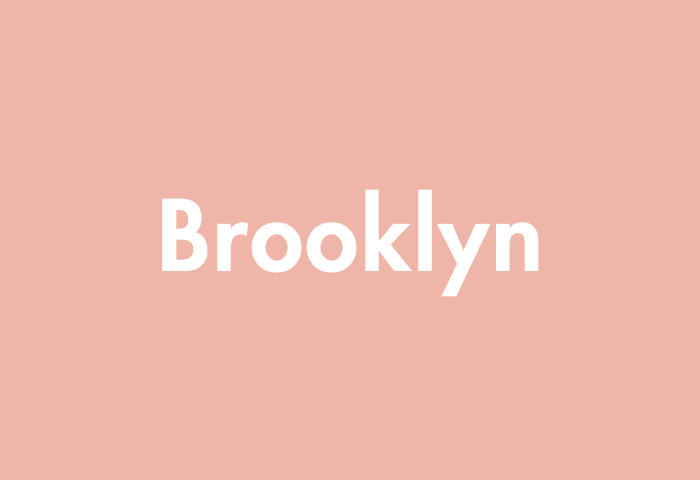 Brooklyn meaning