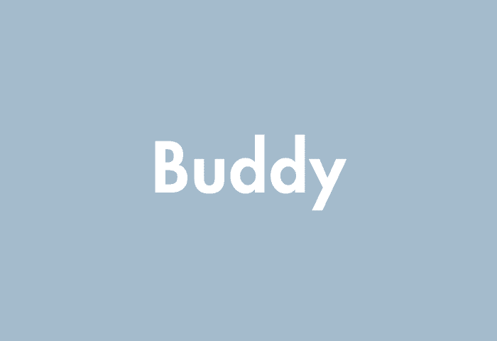 Buddy meaning