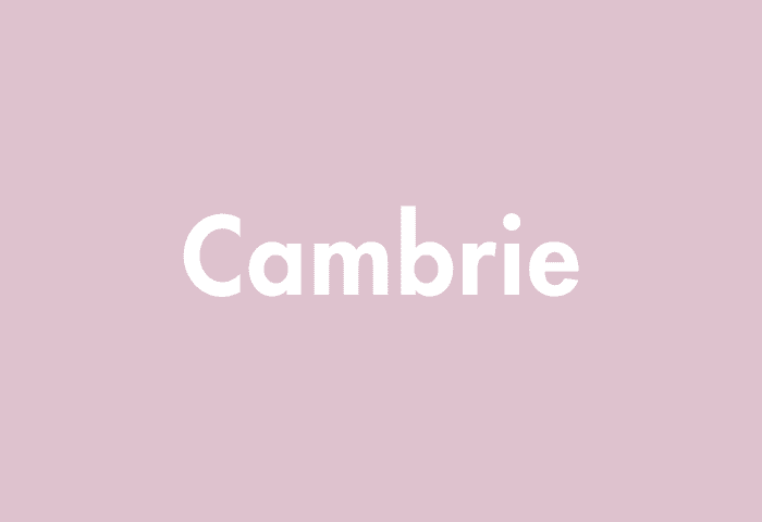 Cambrie meaning
