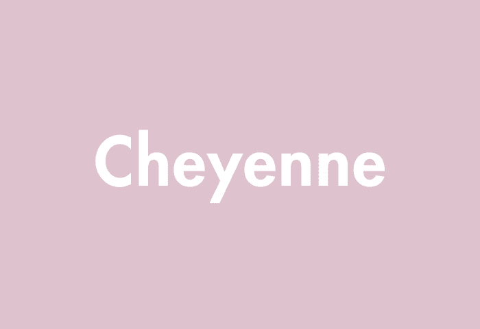 Cheyenne meaning
