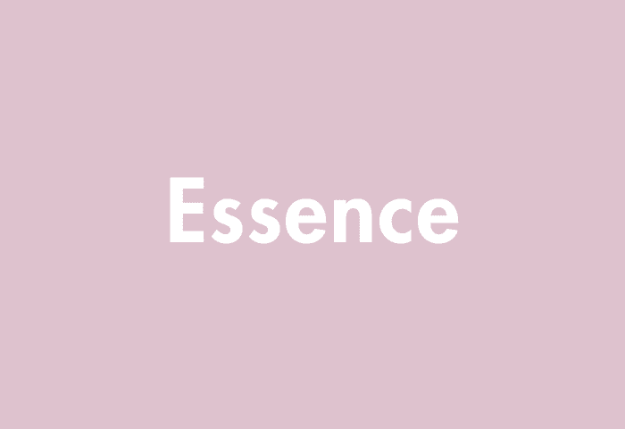 Essence meaning