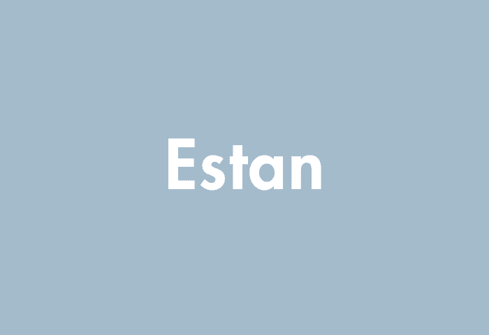 Estan meaning