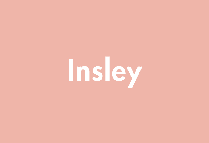 Insley meaning