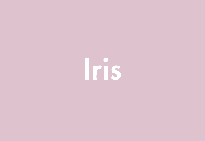 Iris meaning