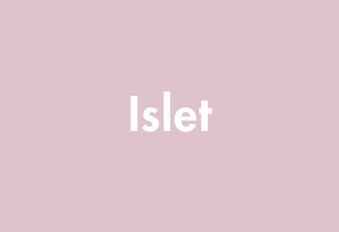 Islet meaning
