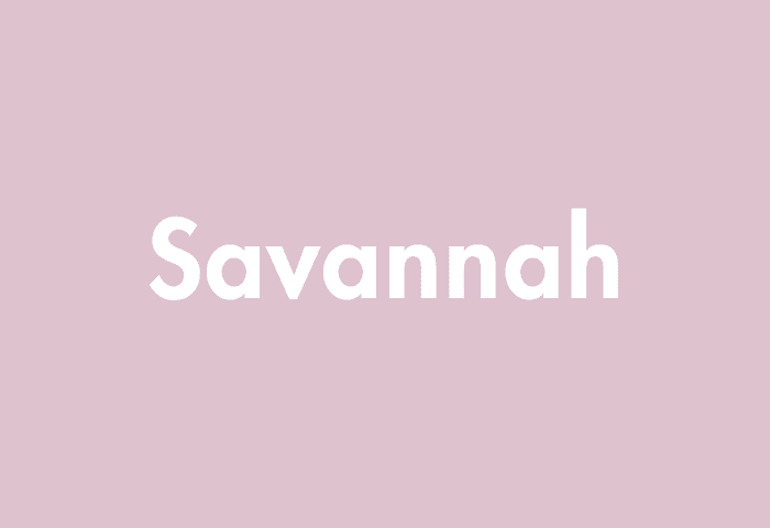 Savannah meaning