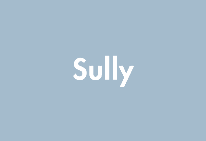 Sully meaning