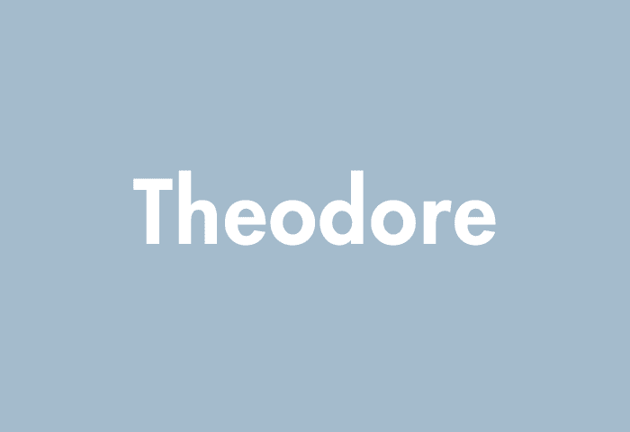 Theodore meaning