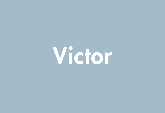 Victor meaning