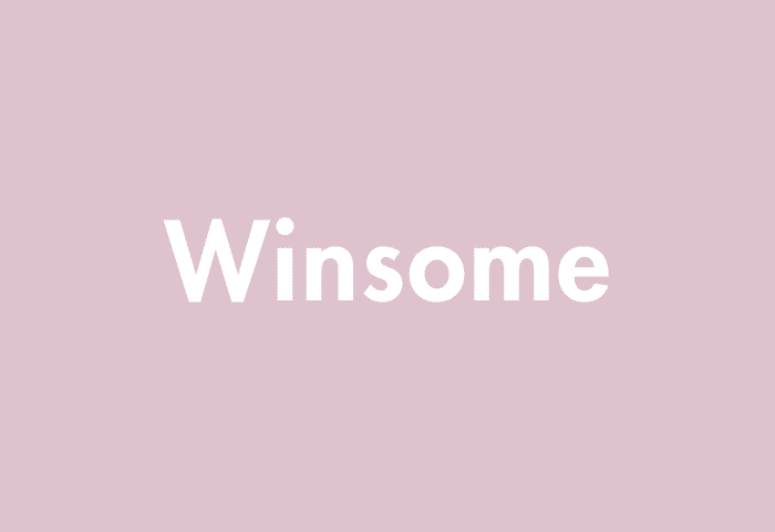 Winsome meaning