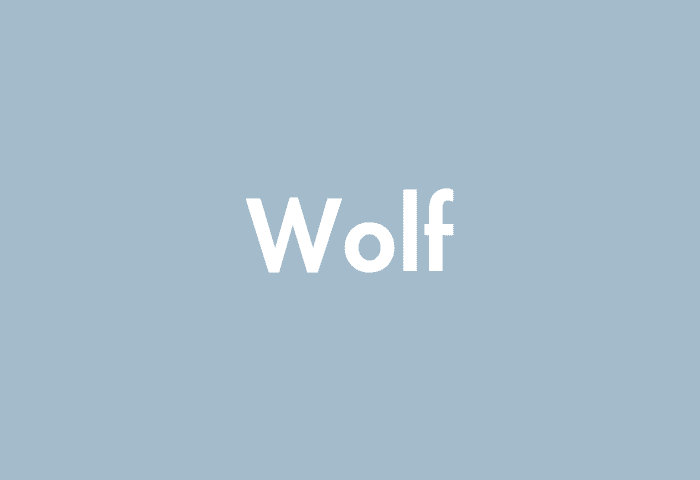 Wolf meaning