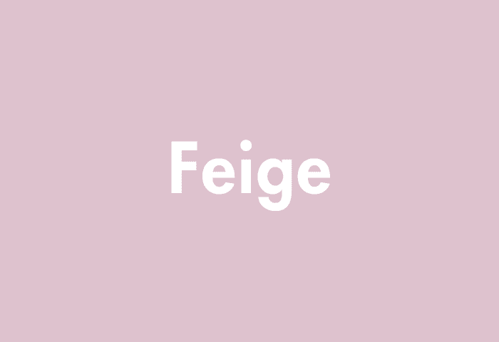 Feige meaning
