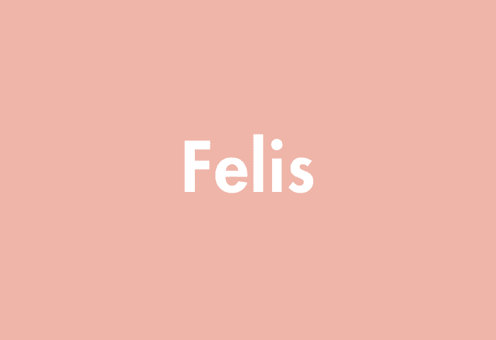 Felis meaning