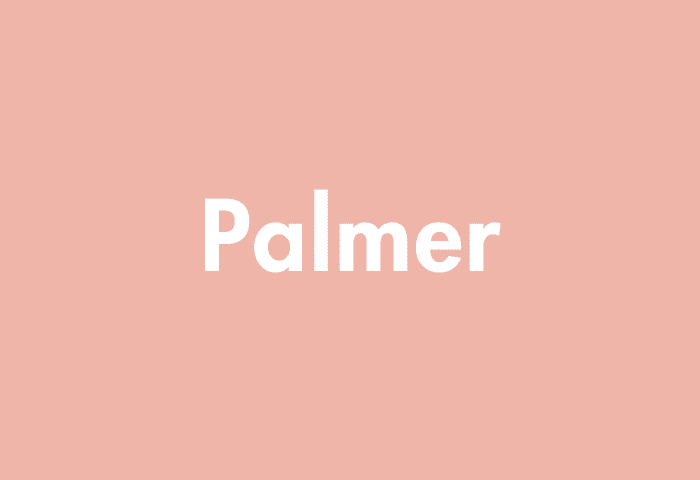 Palmer meaning