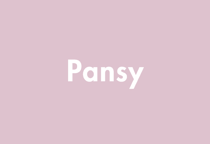 Pansy meaning