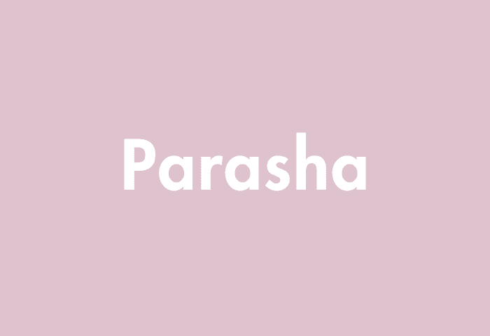 Parasha meaning