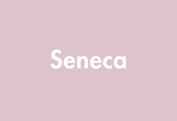 Seneca meaning