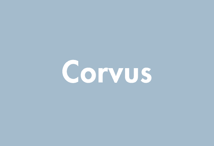 Corvus meaning