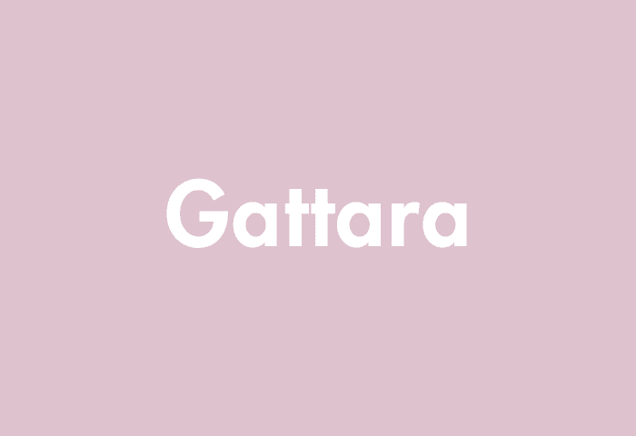 Gattara meaning