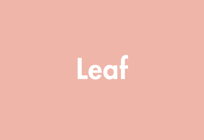 Leaf meaning