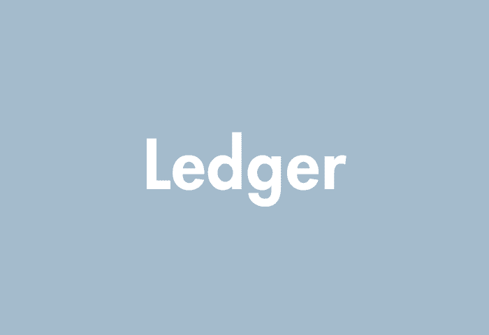 Ledger meaning