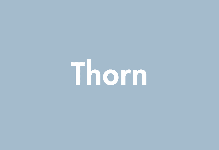 Thorn meaning