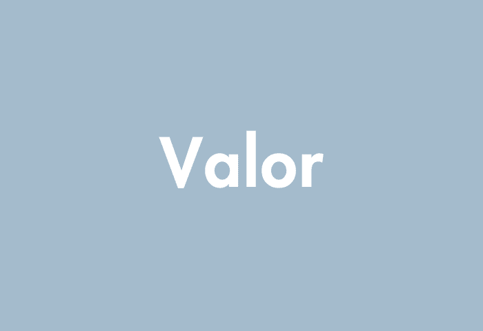 Valor meaning