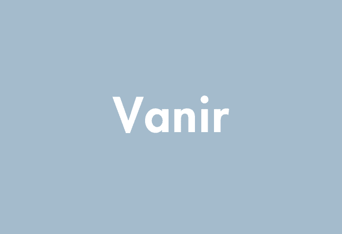 Vanir meaning