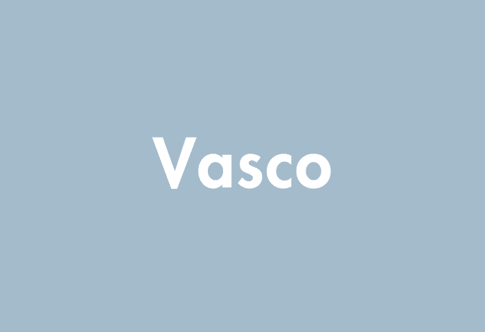 Vasco meaning