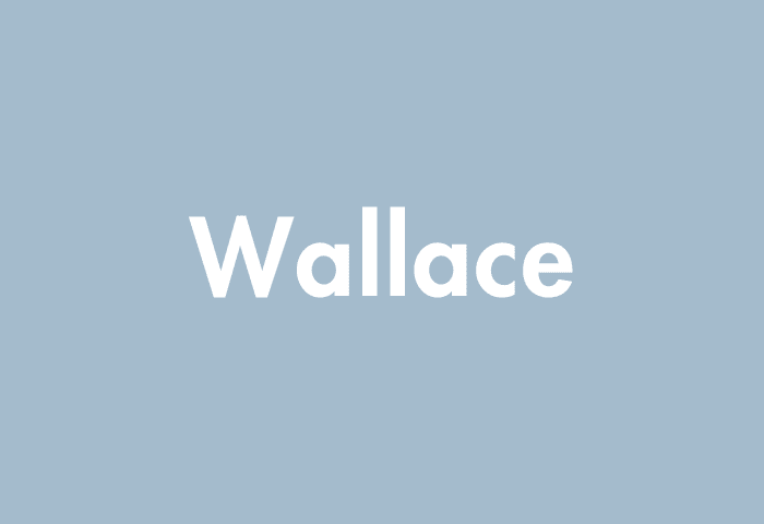 Wallace meaning