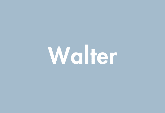 Walter meaning