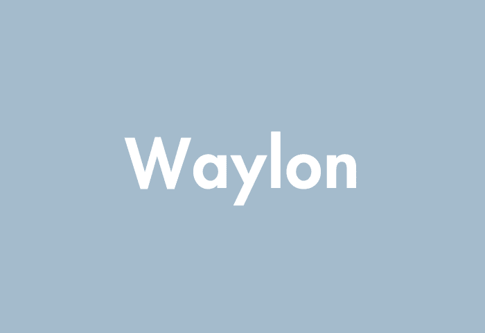 Waylon meaning