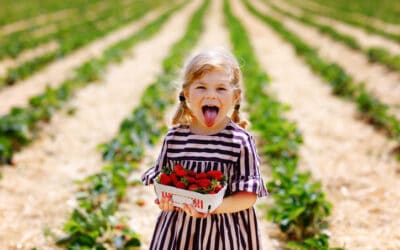 Dutch Baby Names