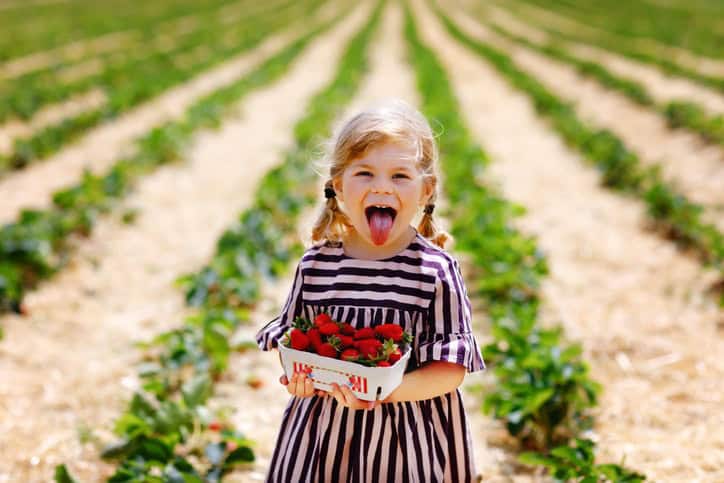 Dutch Baby Names