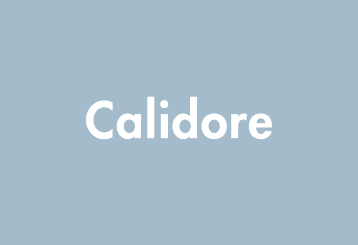 Calidore meaning
